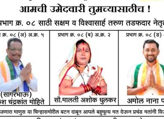 भाजप–शिवसेनेच्या अपयशाला राष्ट्रवादी काँग्रेसचा ठोस पर्याय पँथर